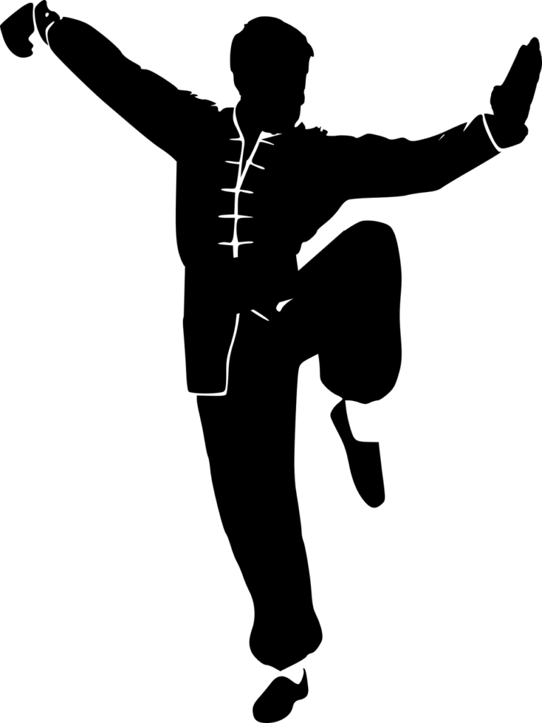 silhouette, kung fu, wushu-3577338.jpg