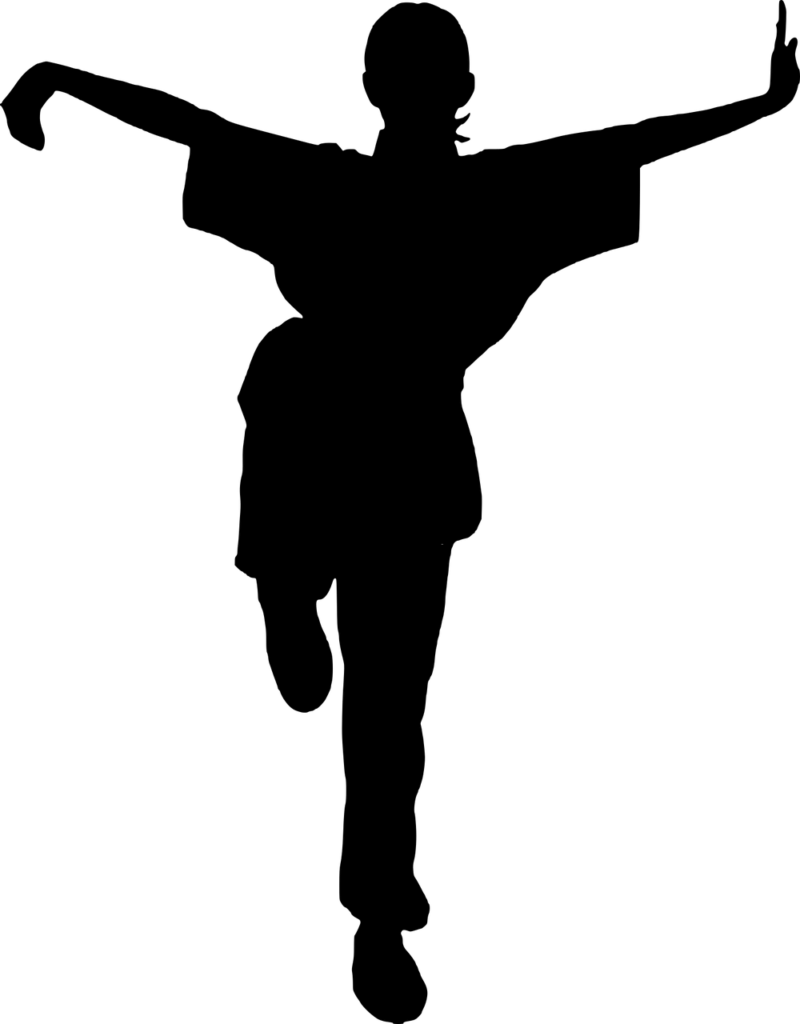 silhouette, kung fu, wushu-3594598.jpg